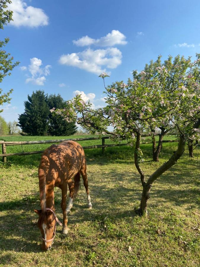 Agriturismo Loghino Caselle San Giorgio di Mantova Exterior foto